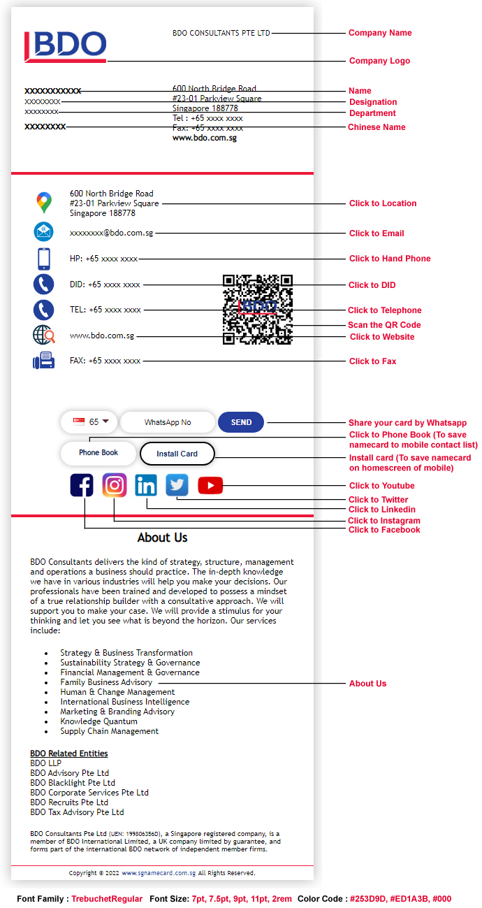 BDO Consultants Pte Ltd overview